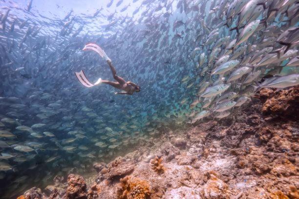 Sipadan Inn 2 Semporna Luaran gambar